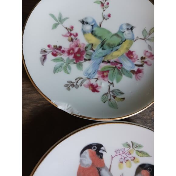 Vintage Silk Screen Porcelain Four in one Bird Plates - Picture 3 of 6